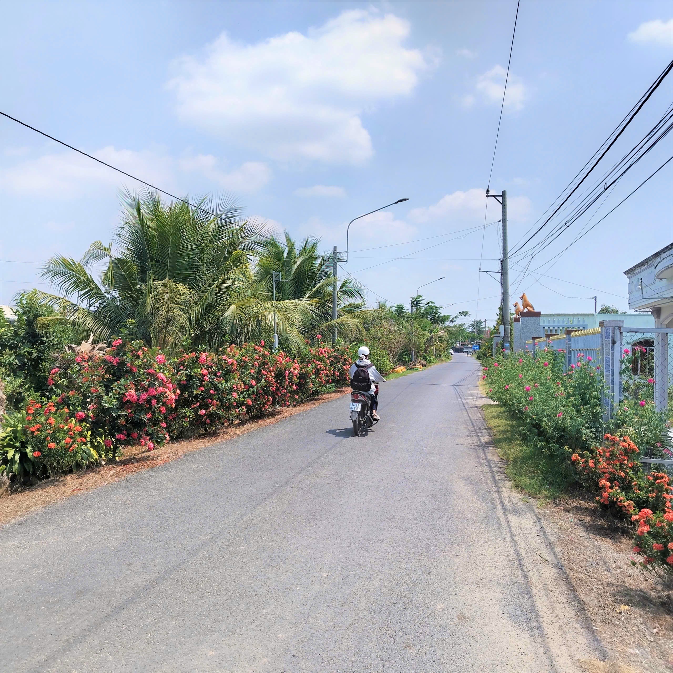 Chính quyền và nhân dân xã An Bình đồng lòng quyết tâm về đích xã nông thôn mới năm 2026